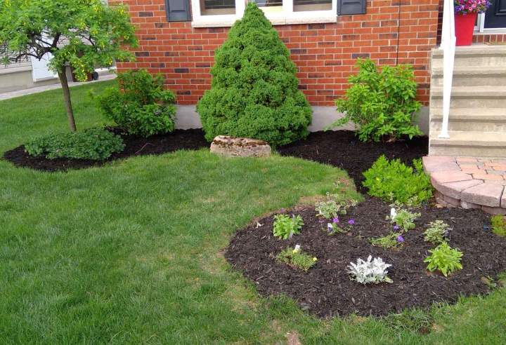 Maintien de la beauté des espaces verts avec des travaux ciblés.