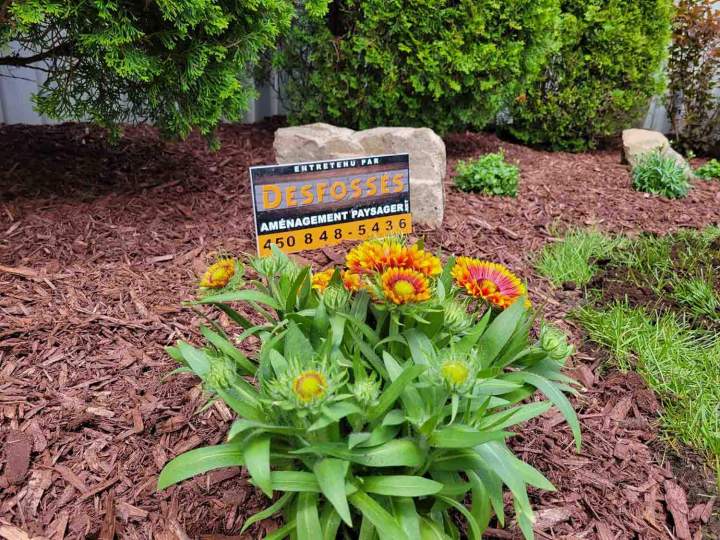 Aménagement extérieur Bois-des-Filion