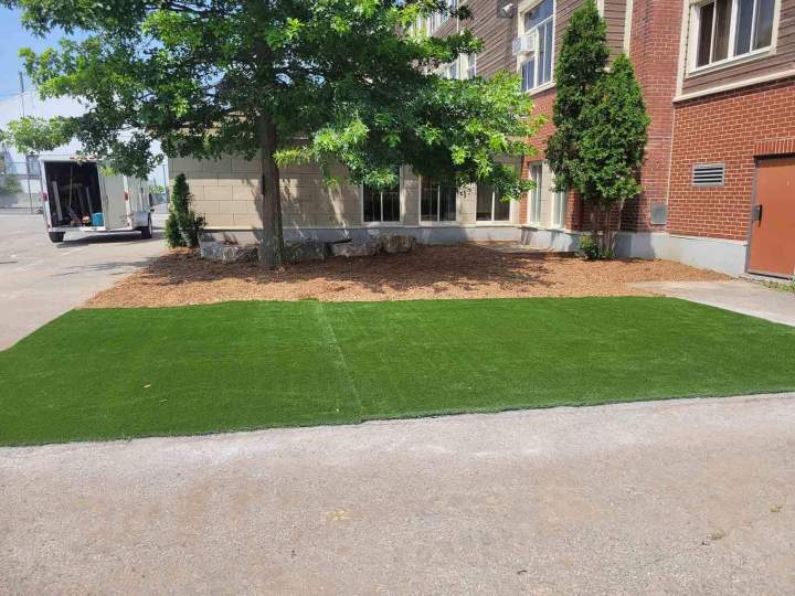 Taille régulière de la pelouse pour un jardin soigné.