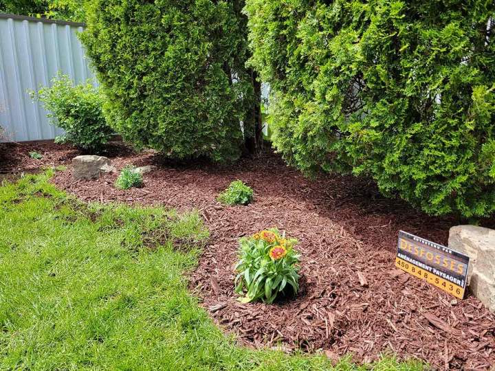 Création d’espaces harmonieux pour embellir votre jardin.